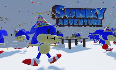[LEVEL 7] Sunky Adventure