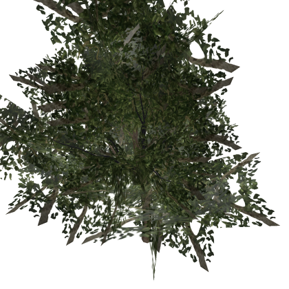 Realistic Tree