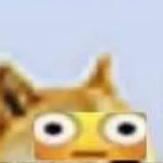oh, hi