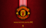 Manchester united the best