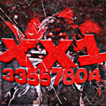 メ XX1