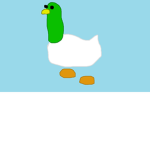 Duck Boi Nation
