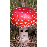 The Cult Of The Mushroom Travelers