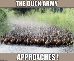 Mrducky army