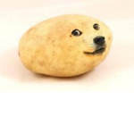 Potata Batter
