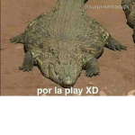 Compañia Latina ewe