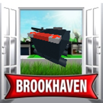 BROOKHAVEN カート乗り BROOKHAVEN カート乗り