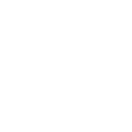 National Security Foces (NSF)