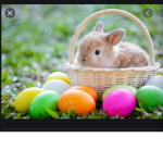 BunnyHopsStudios