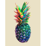 The Raining Pineapples!!!
