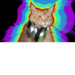 DiscoCat FanClub