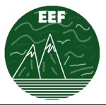 Eastern Expeditionary Forces