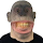 KIMICHI CHAT
