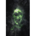 | M.O.D.E | Ministry of Death Eaters