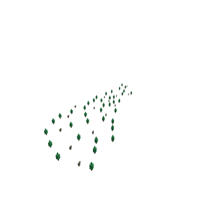 Forest Of Men