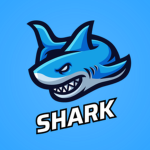 Super Shark studio