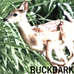 BUCKBARK Group Thumbnail
