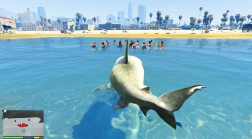 SCP-Megalodon Shark