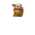 Pearly’s