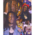 BxckWoods™