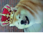 The Doge Kingdom (Central)