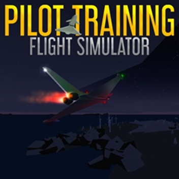 Pilot Training Flight Simulator
