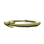 Crown Of Serpents