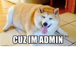 take this survey to become admin in our group