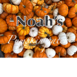 -Noah’s Pumpkin patch-