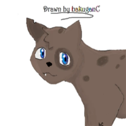 Cat Drawing