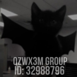 Qzwx3m Group