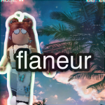 f l a n e u r