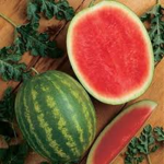 Watermelons?!