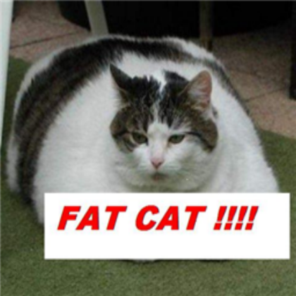 FAT CAT !!! NOW FREE THANKS FOR THE COMMENTS!! Roblox decal