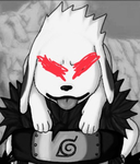 THE AKAMARU WORSHIPPERS