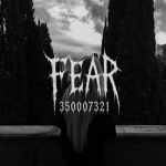 共 Fear