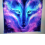 Shadow wolf x