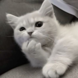 *
