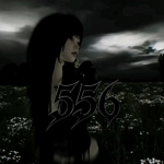 556 Archives