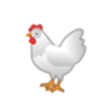 Chicken_games