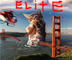 T.N.T. ( Elite Force )