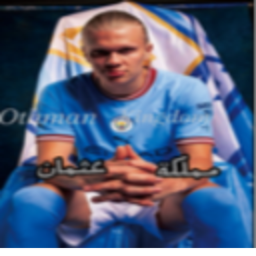 باركور عثمان ومملكته