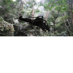 Helicopter 402 Operatives.