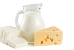 MILK AND CHEESE GANG