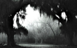 SilentlyAway