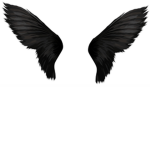 Wing Empire