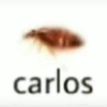 Bruh oh no