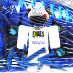 FinLink
