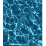 Aquatic Jacob