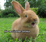Die Verrückten Smileys